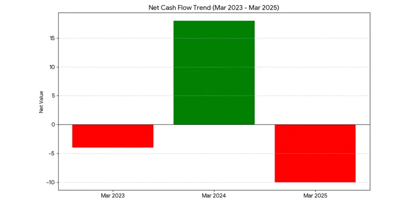 Cash flows 